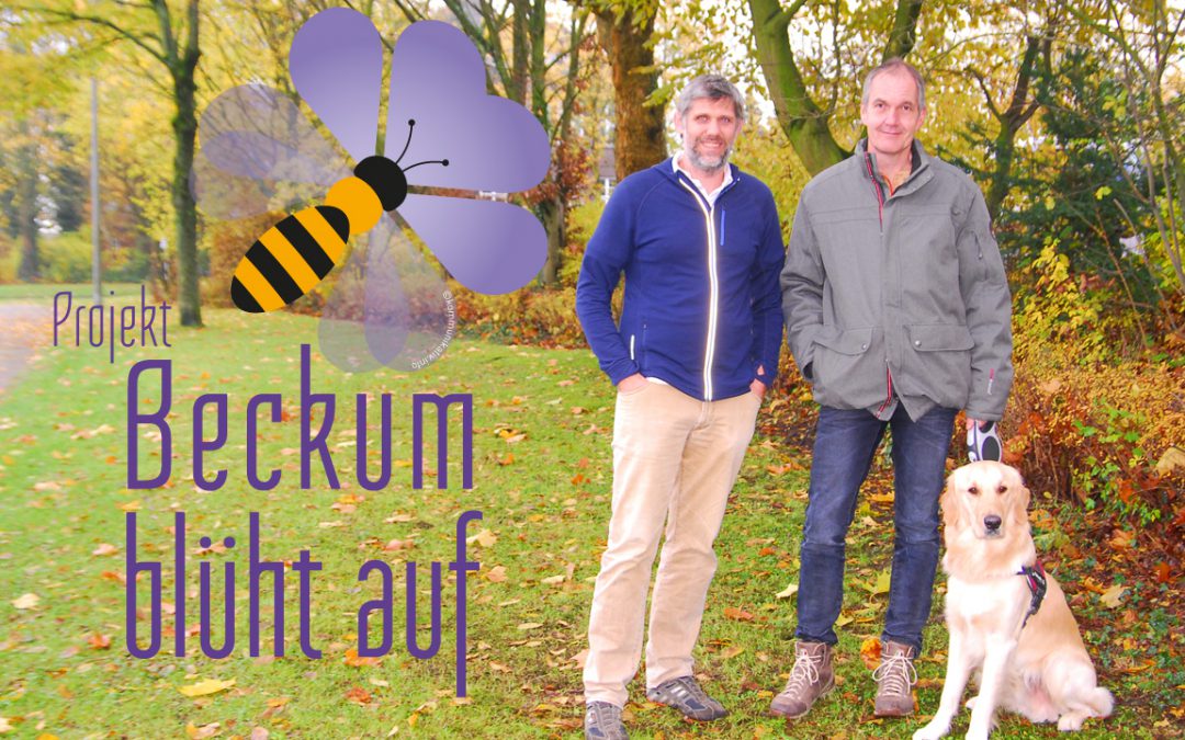 Bienen blüten reich