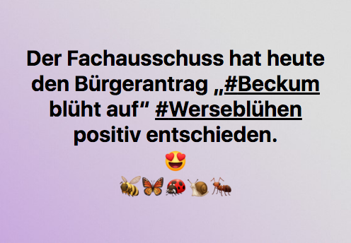 Bürgerantrag positiv Entschieden