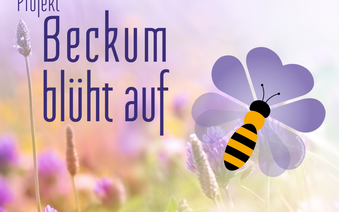 Mitstreiter/innen gesucht …