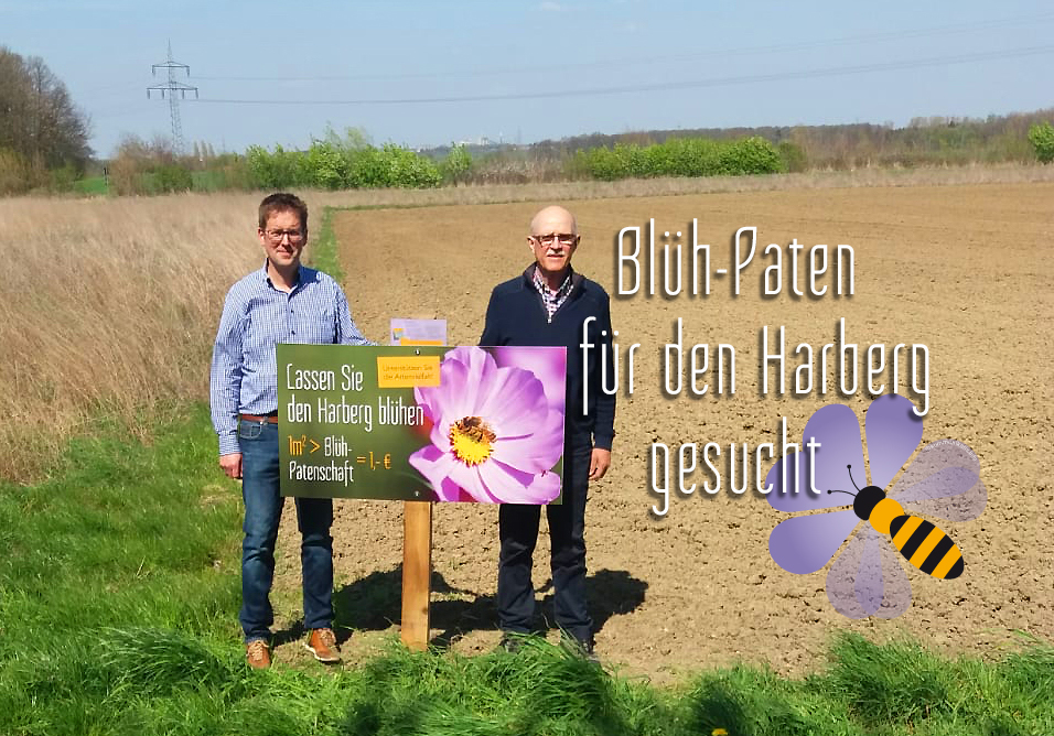 Blüh-Paten für den Harberg gesucht!